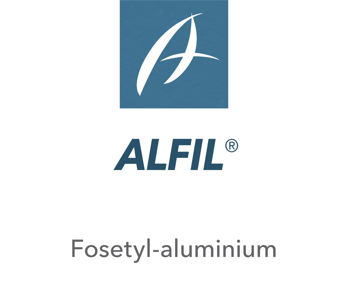 Alfil®