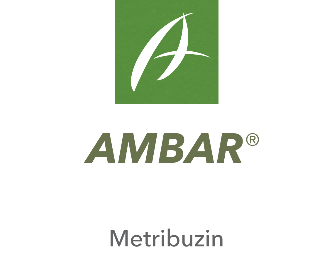 Ambar®