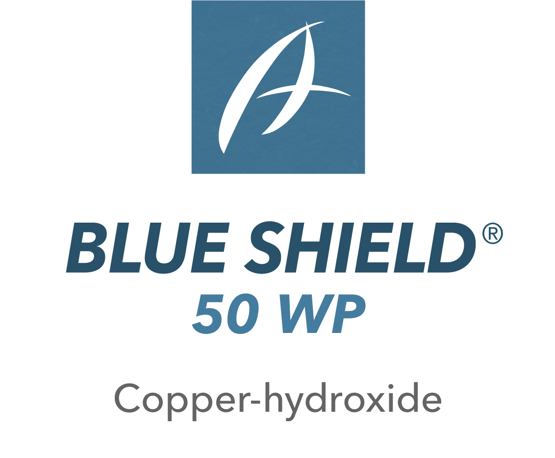 Blue Shield® 50 WP