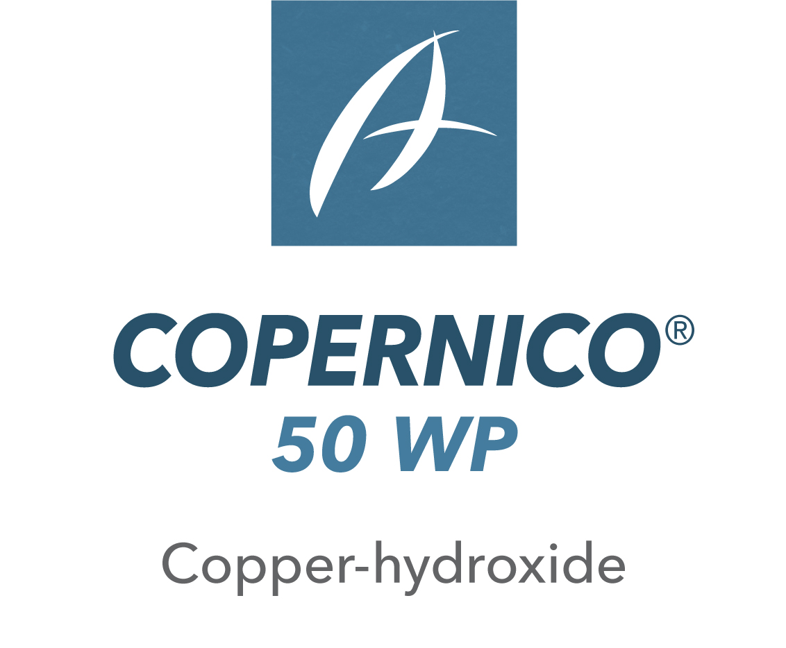 Copernico® 50 WP