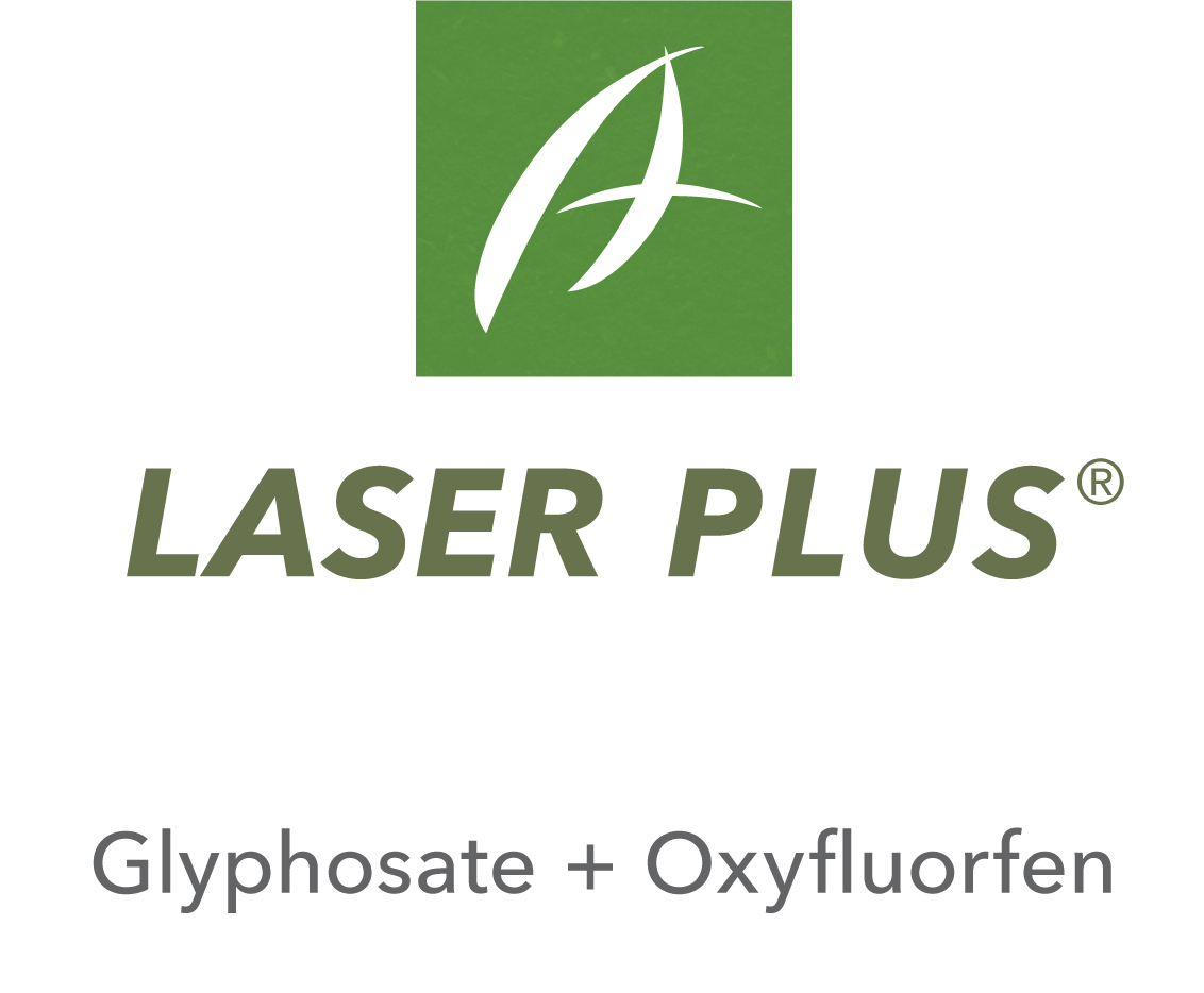 Laser Plus®