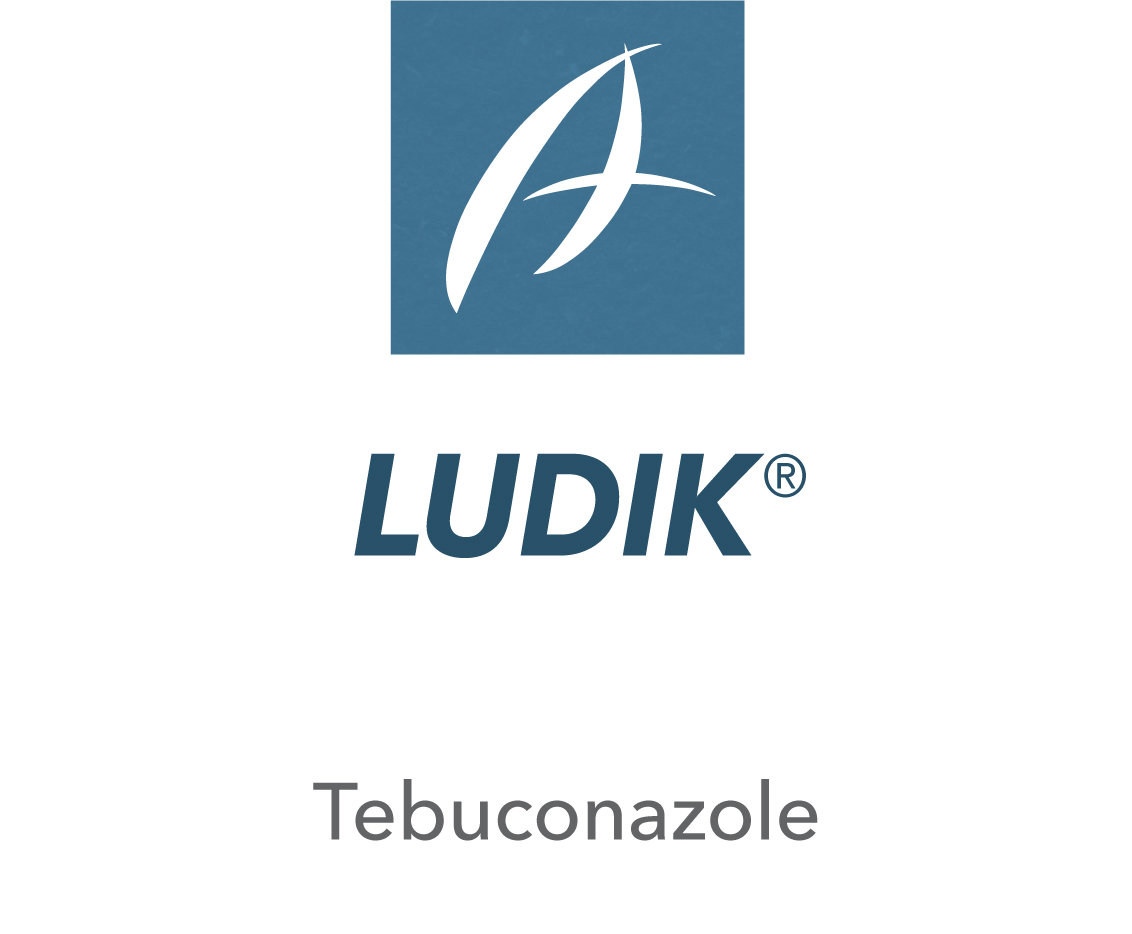 Ludik®