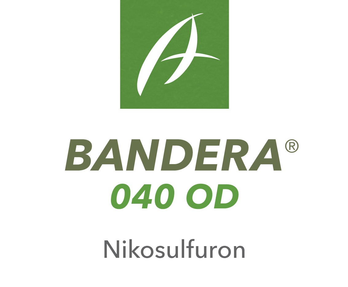 Bandera® 040 OD