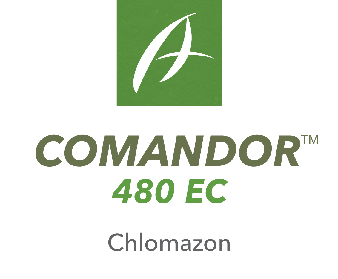 Comandor® 480 EC