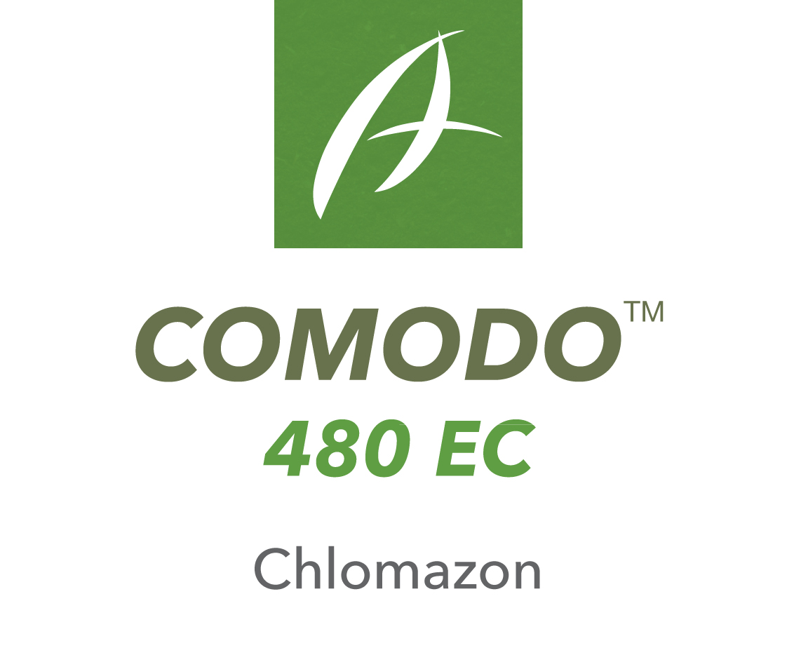 Comodo® 480 EC