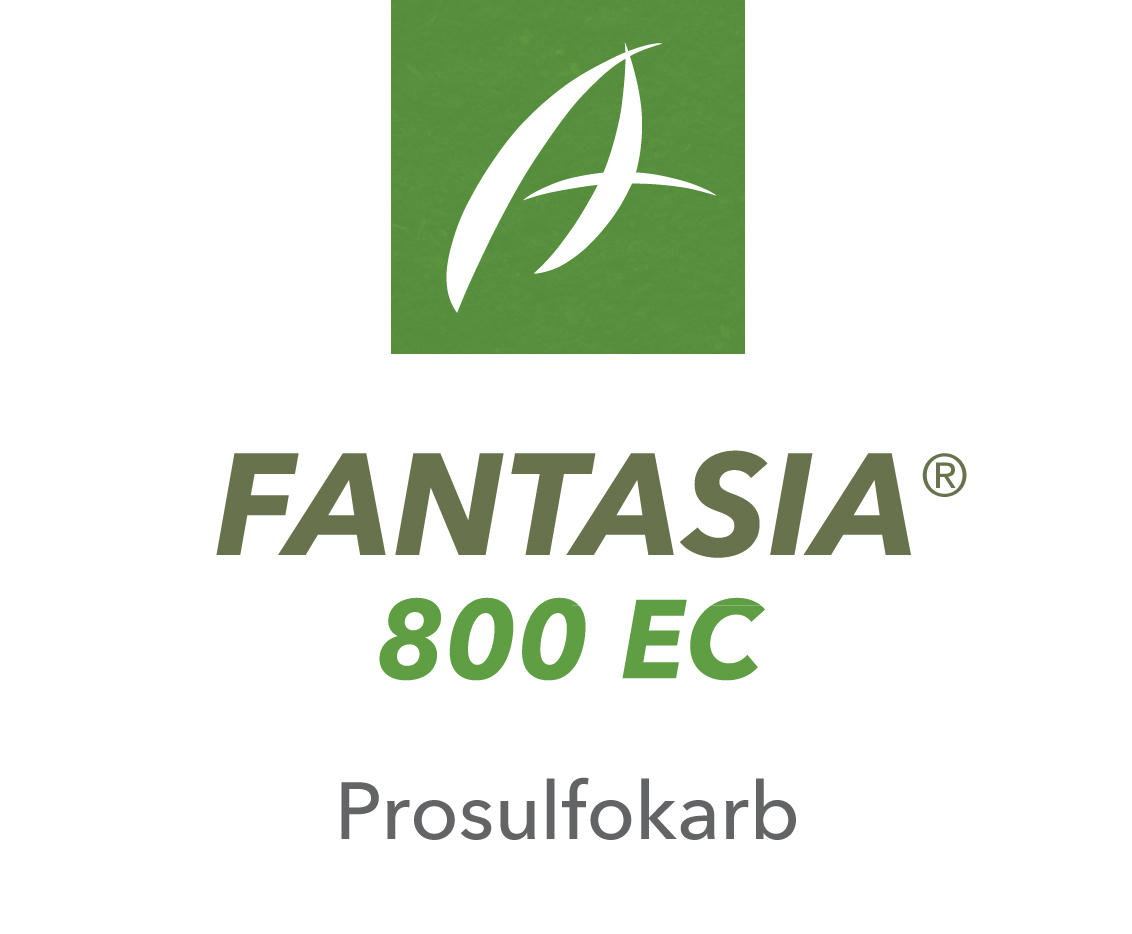 Fantasia® 800 EC