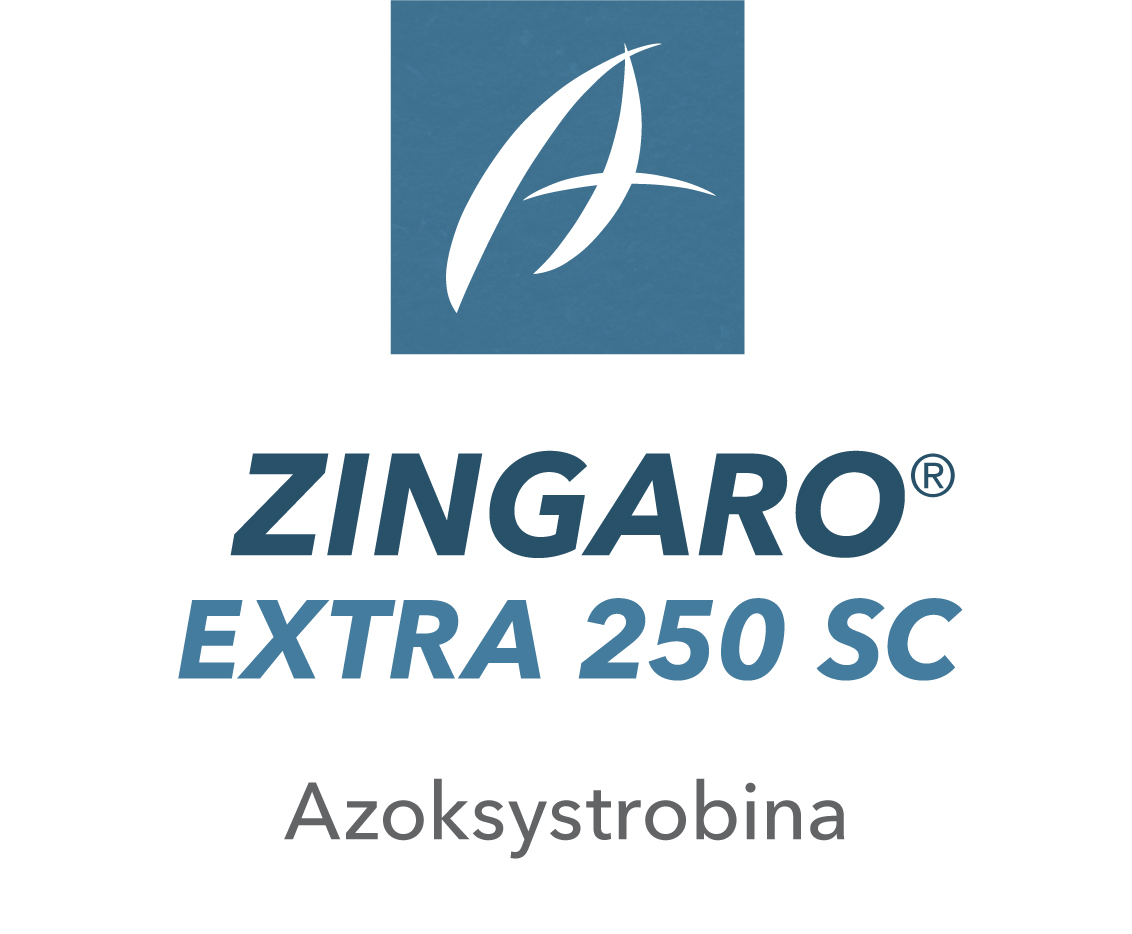 Zingaro® Extra 250 SC