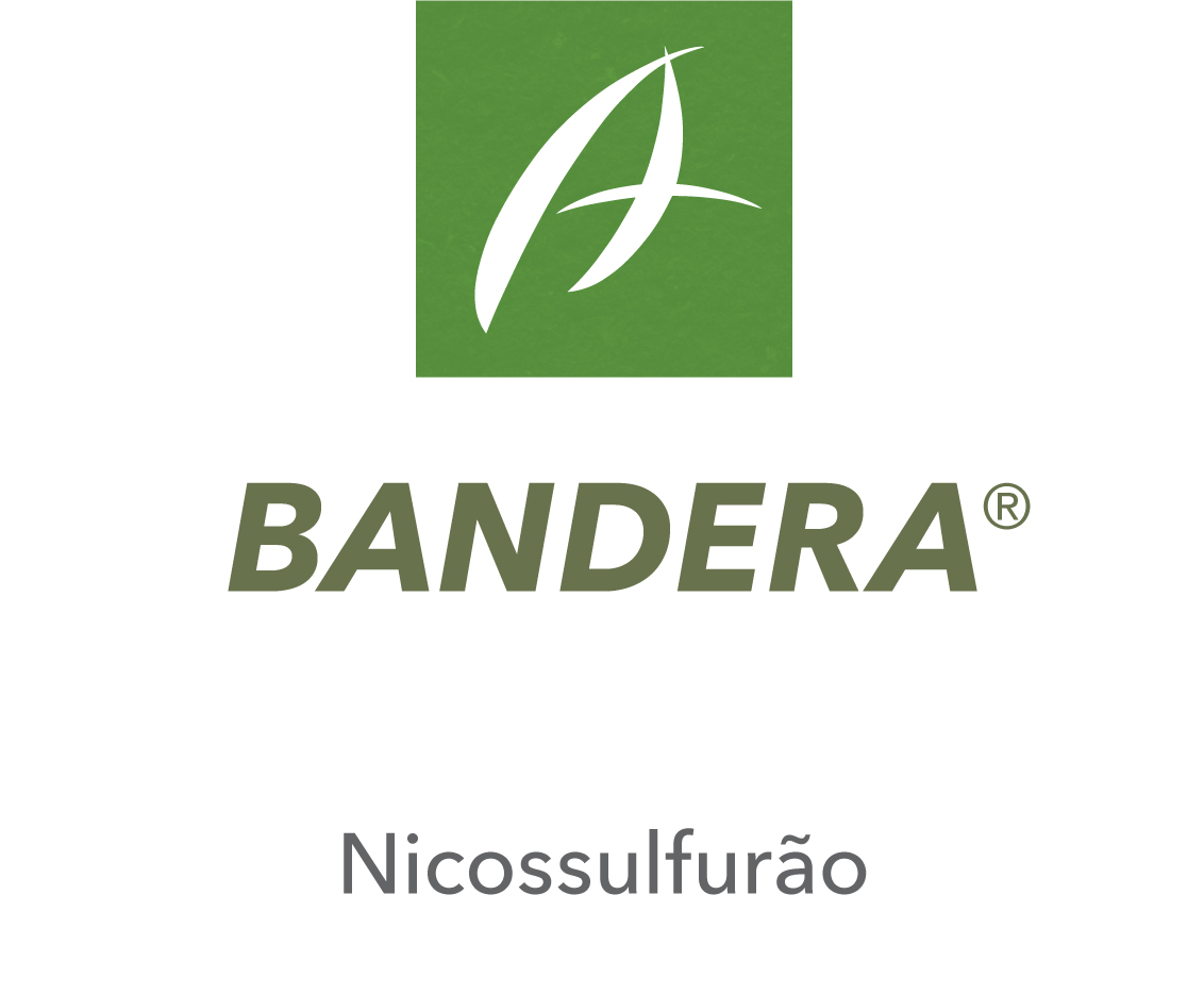 Bandera®