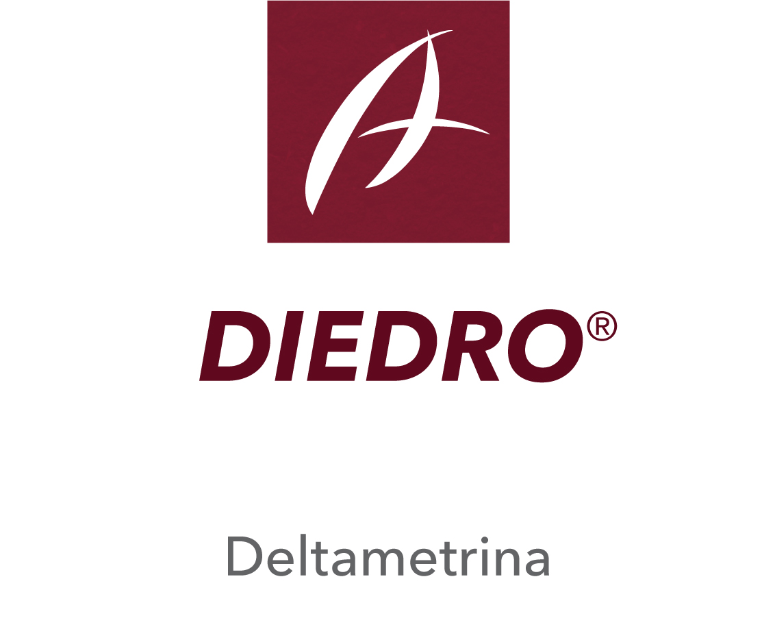 Diedro