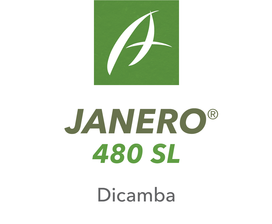 Janero 480 SL