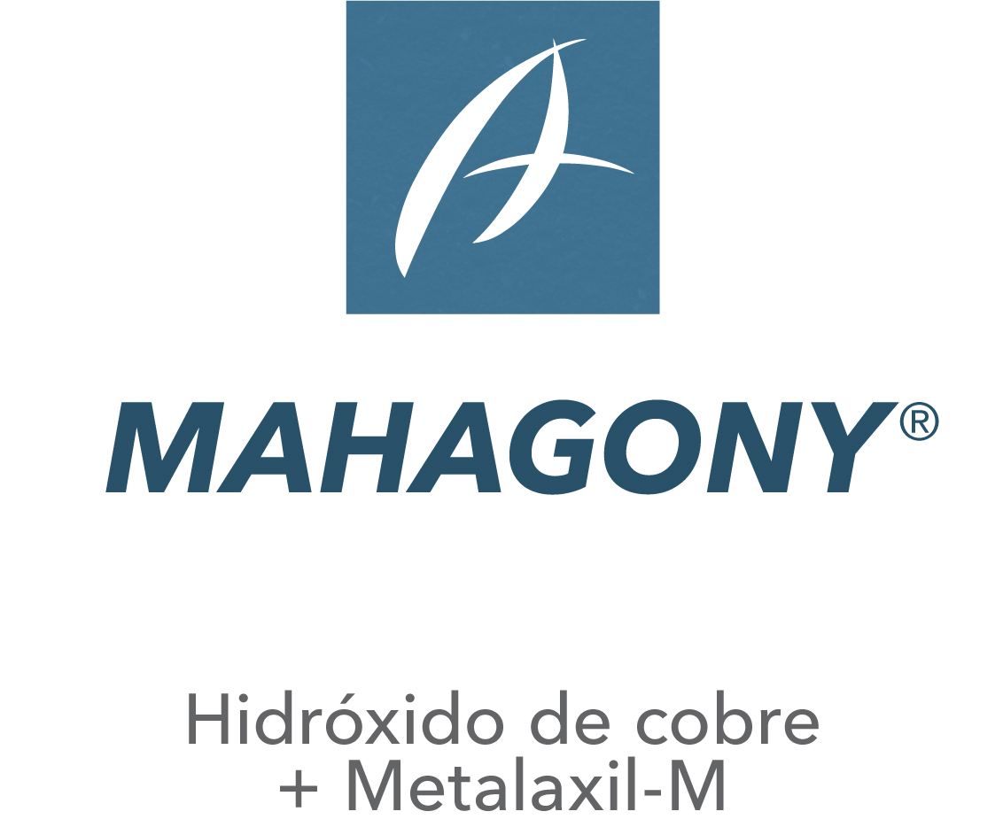 Mahagony