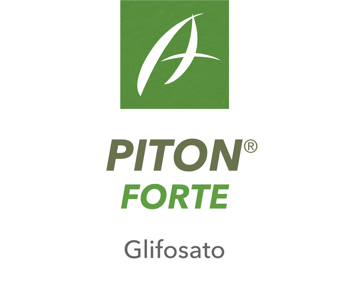 Piton Forte