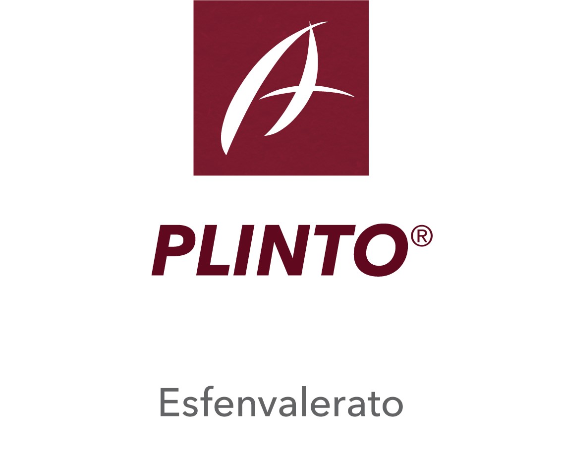 Plinto