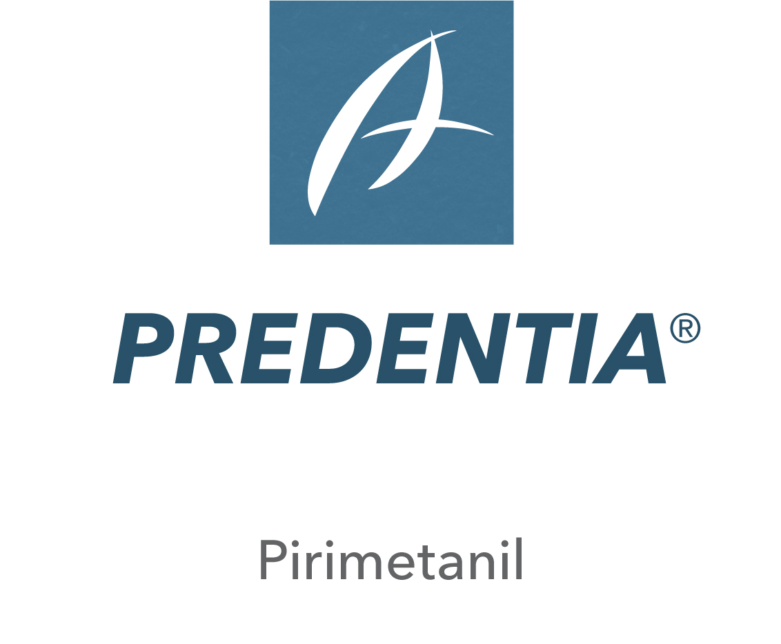 Predentia