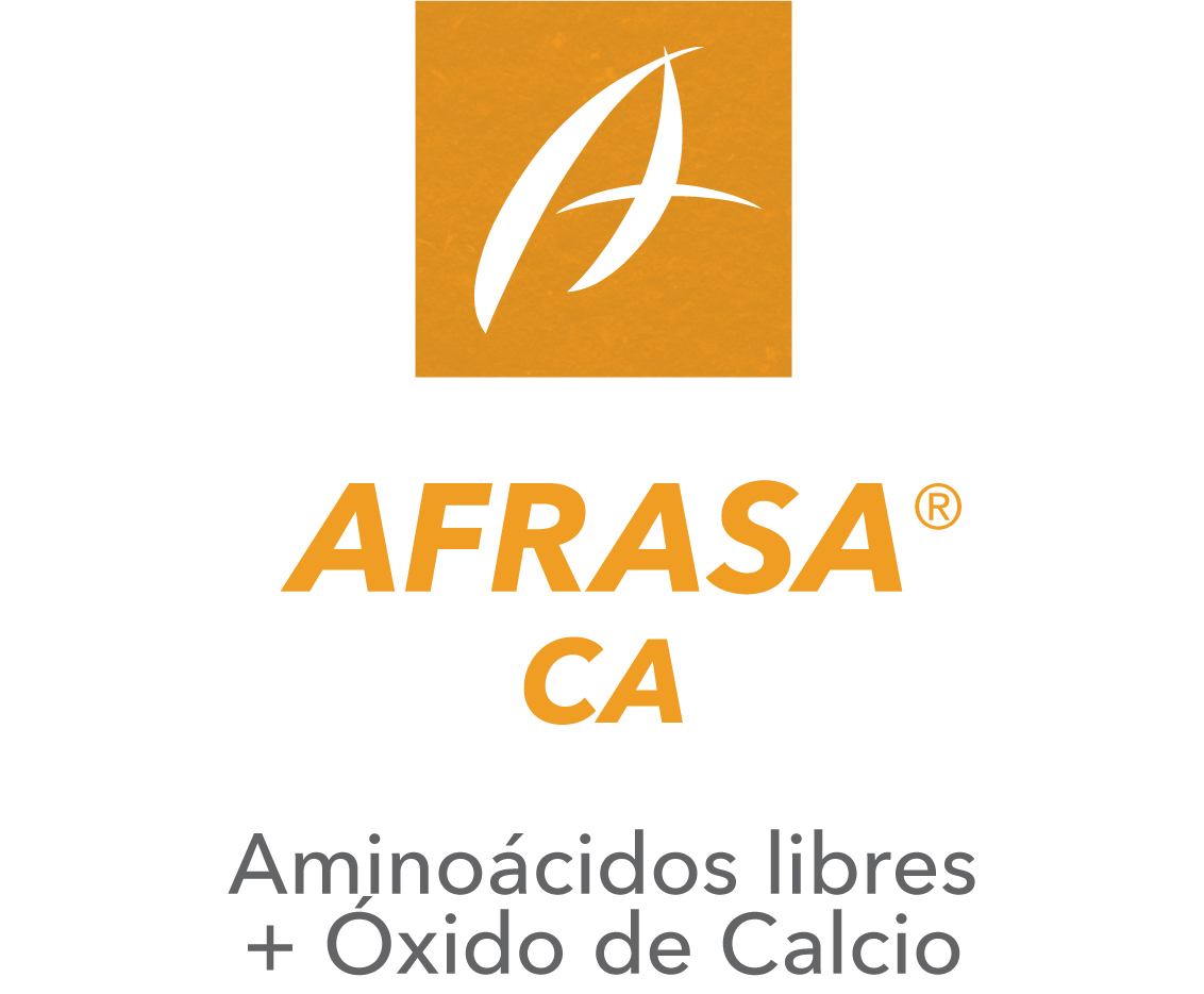 Afrasa Ca