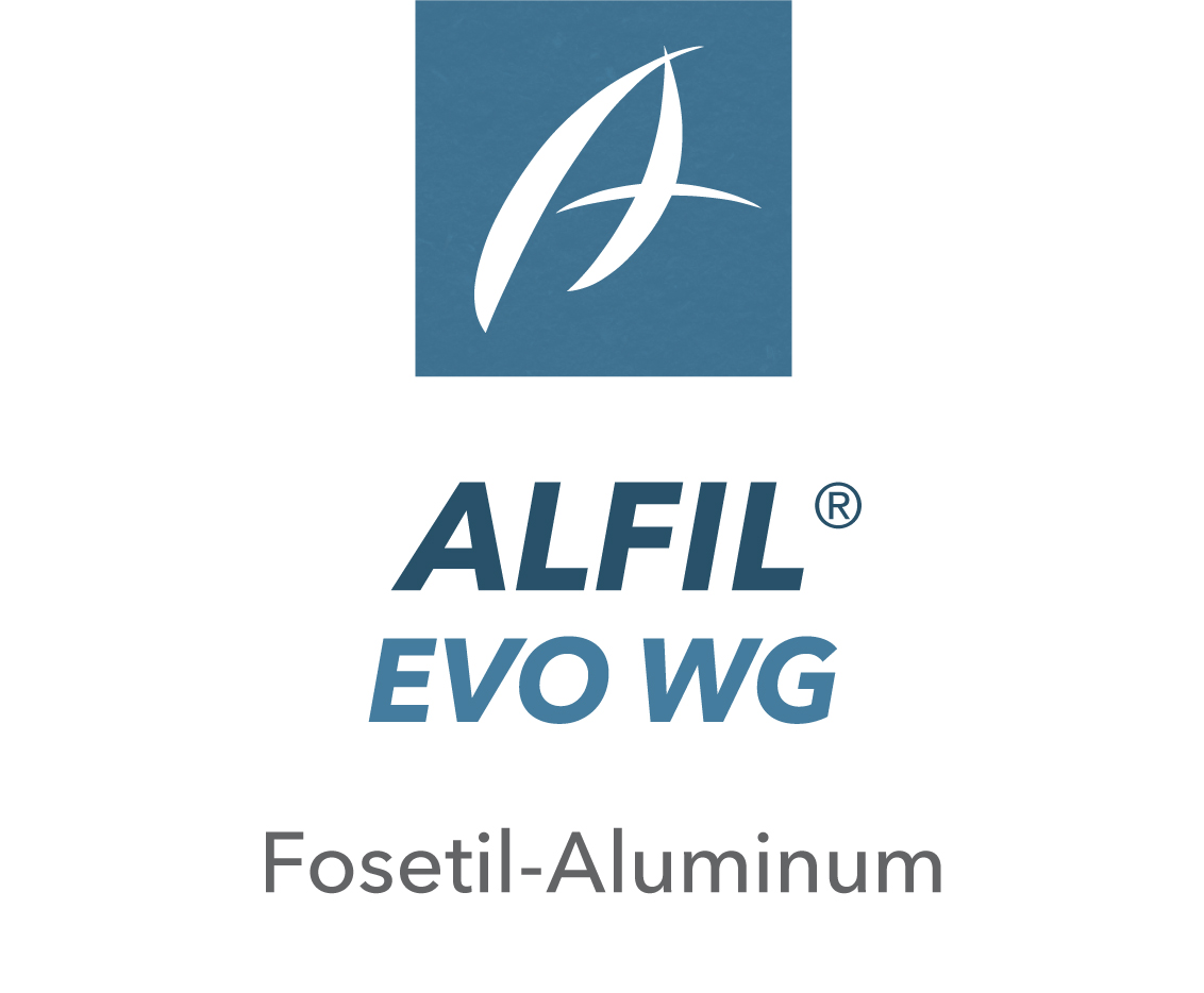 Alfil® Evo WG