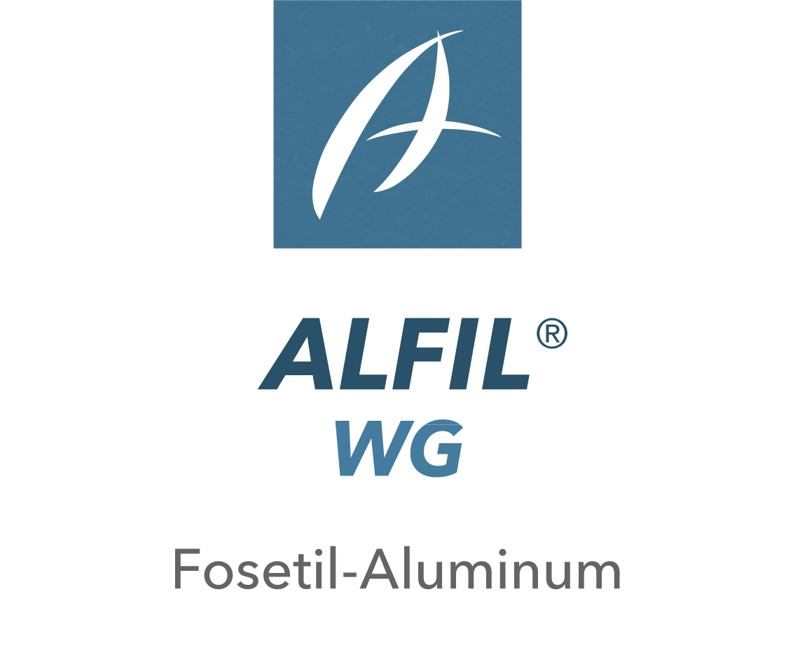 Alfil WG