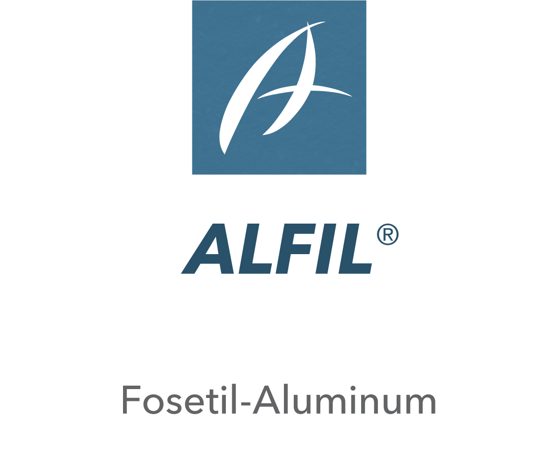 Alfil