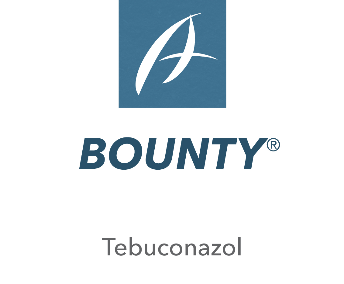 Bounty