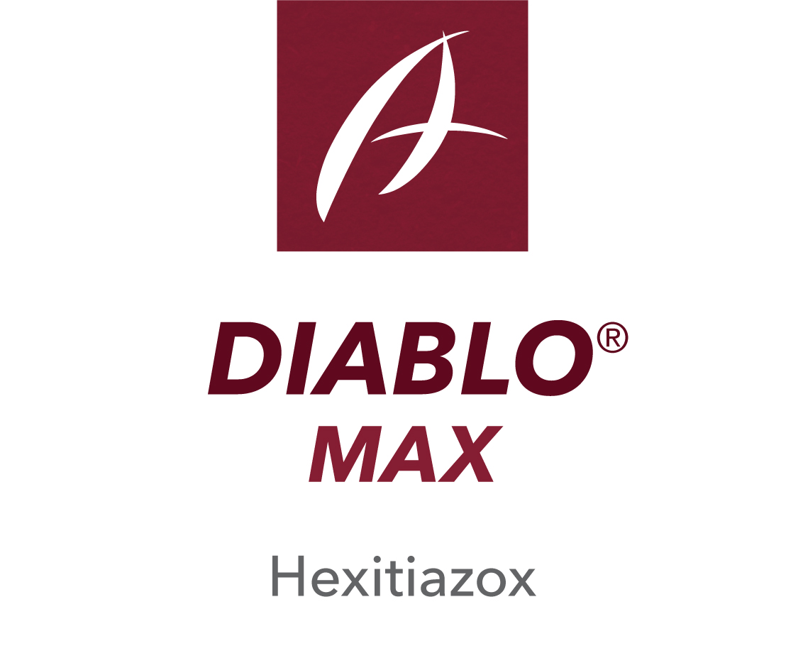 Diablo Max