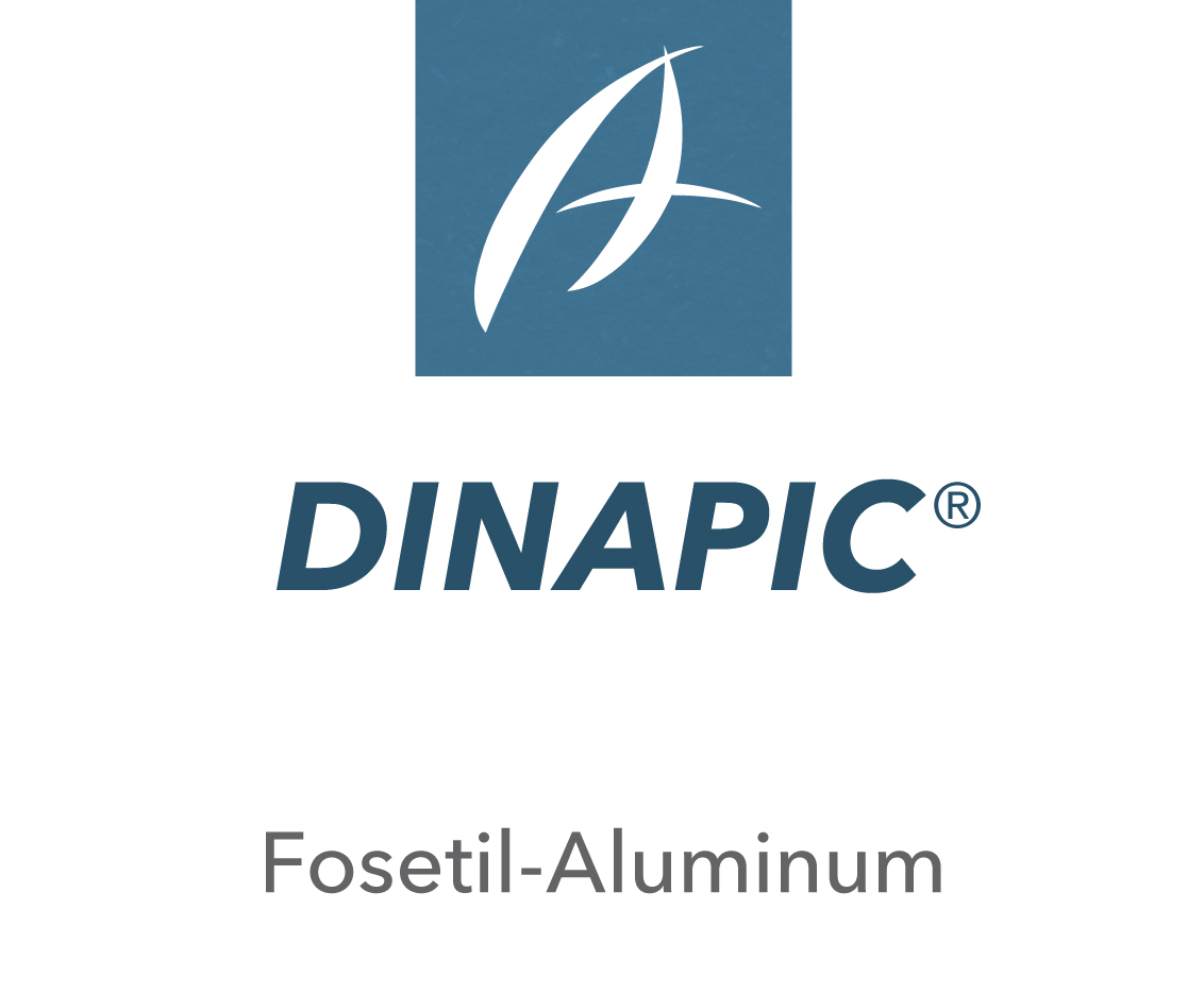 Dinapic