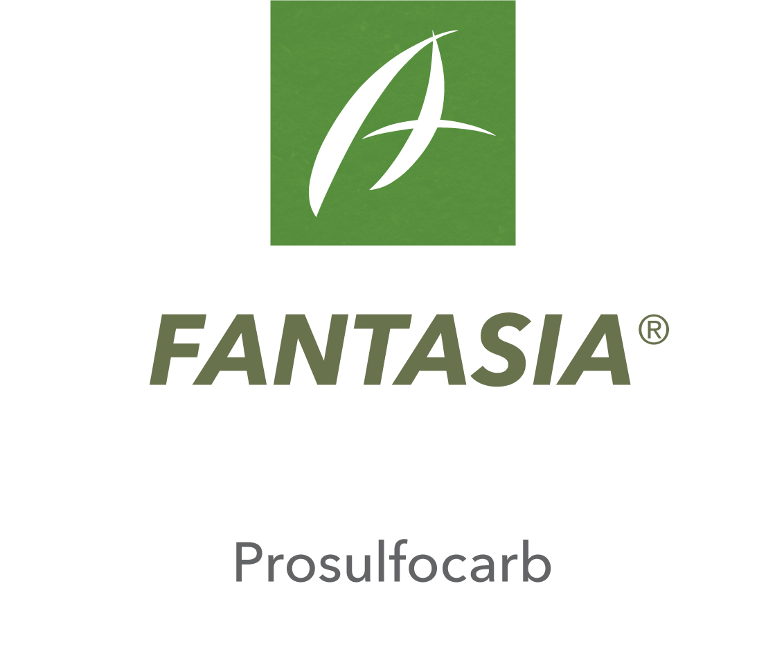 Fantasia®