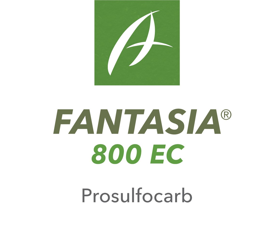 Fantasia® 800 EC