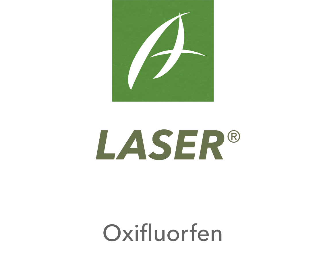 Laser®