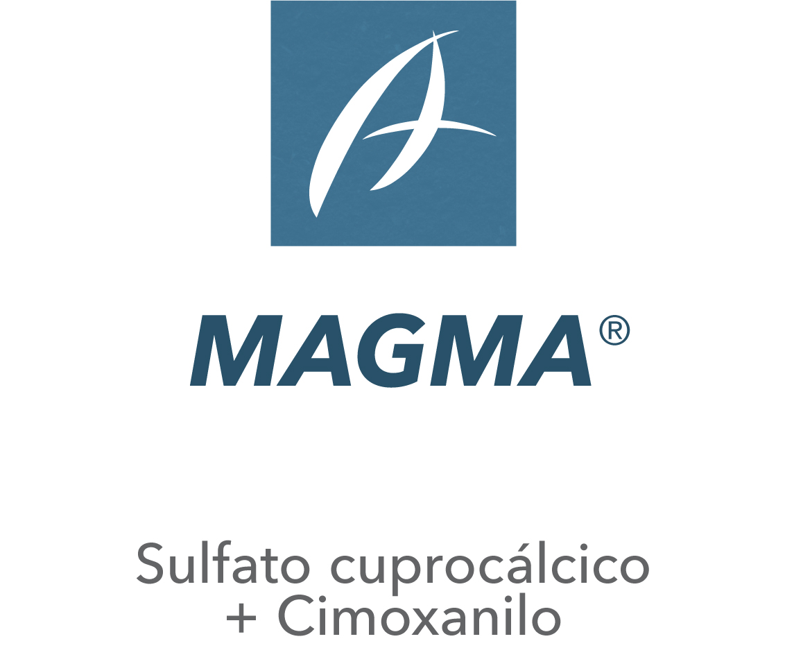 Magma®