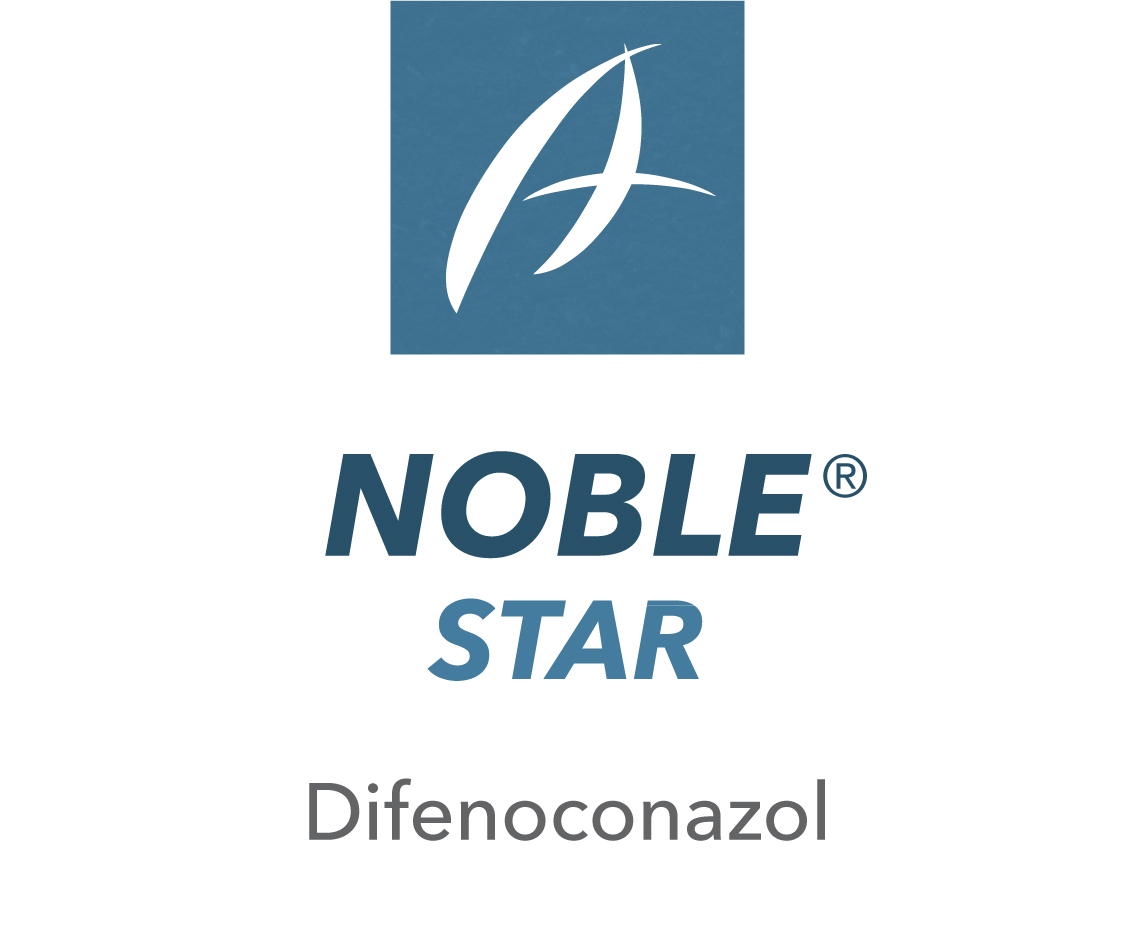 Noble Star