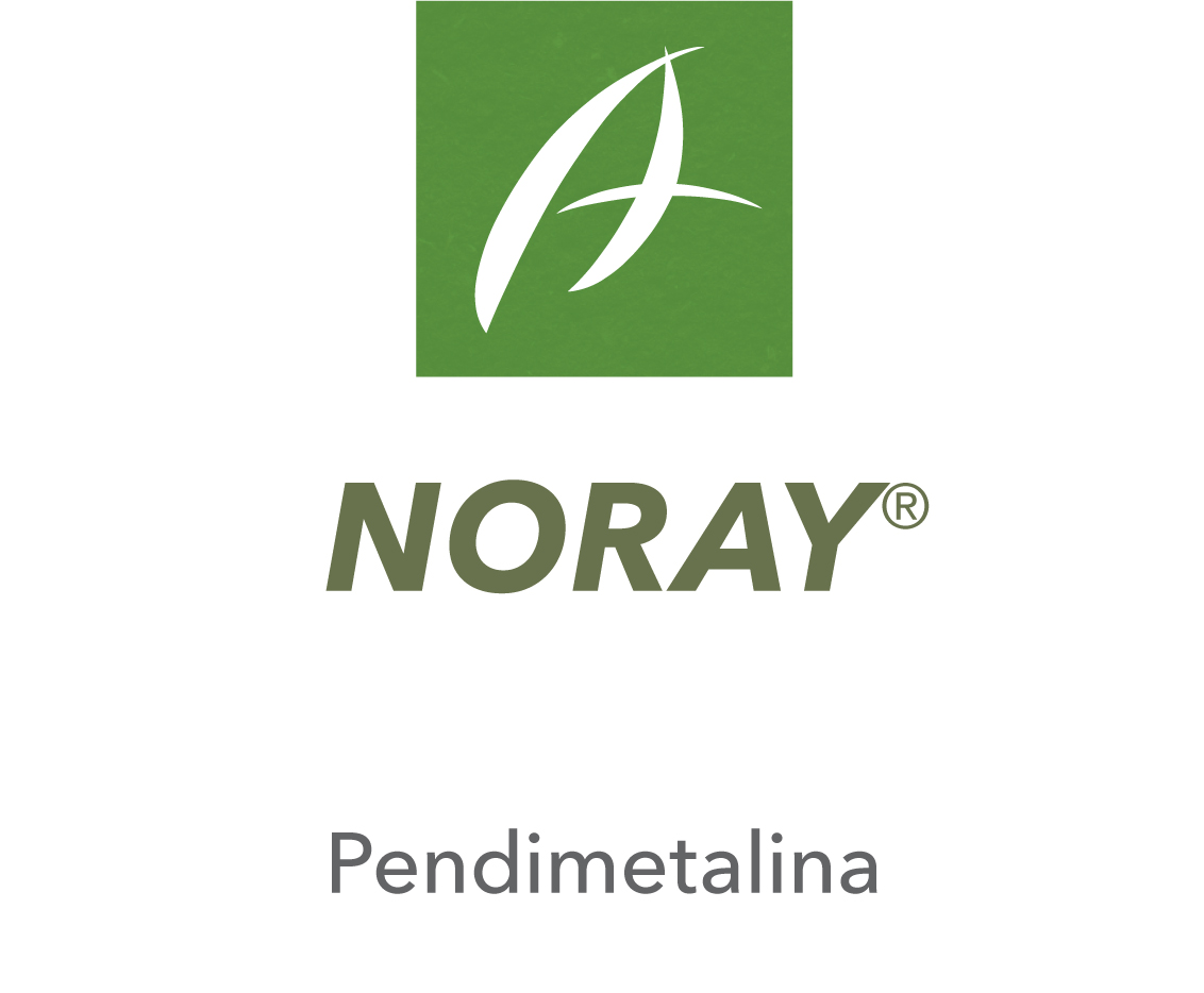 Noray®