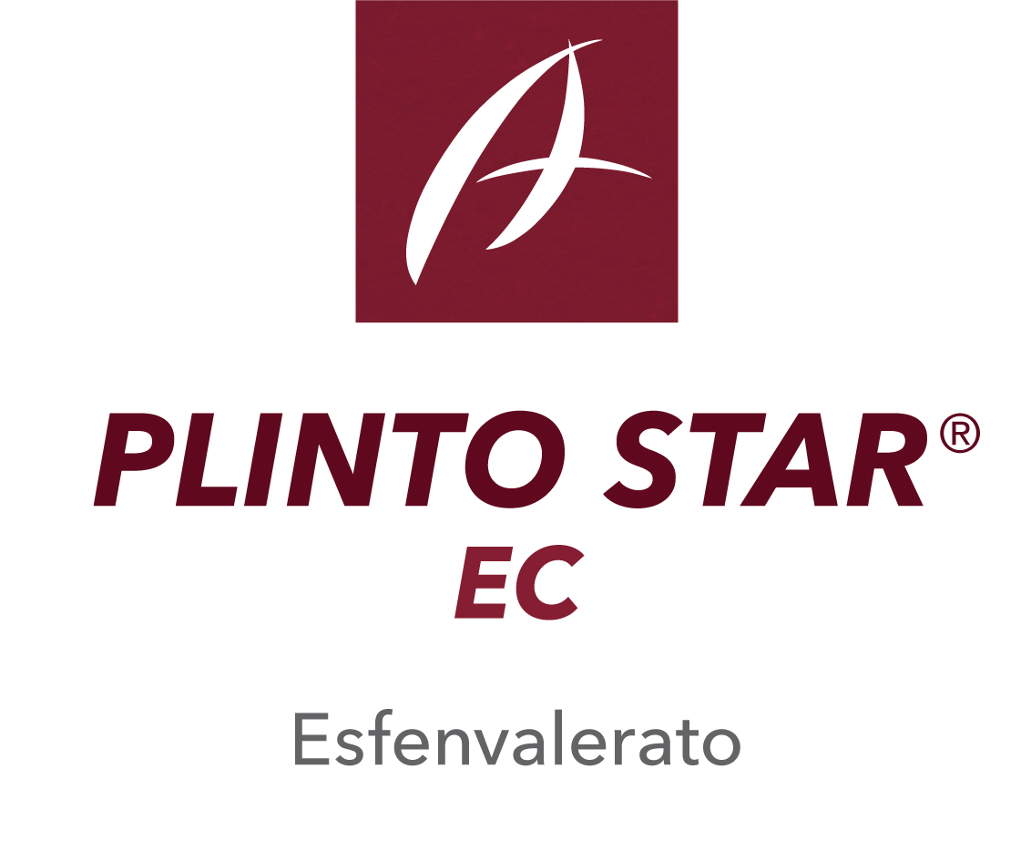 Plinto Star EC