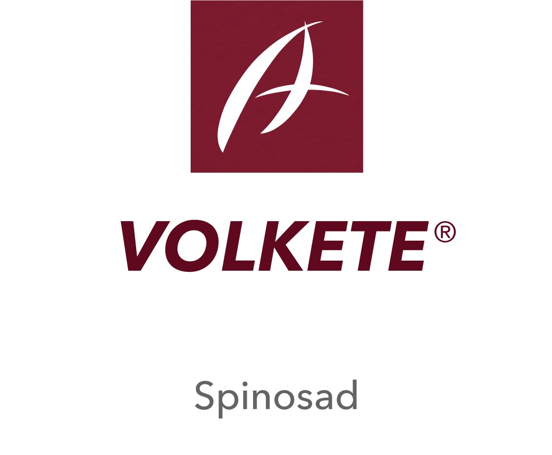 Volkete®