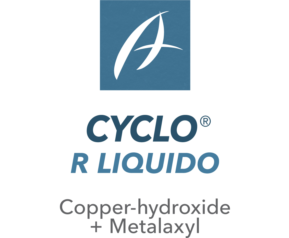 Cyclo® R Liquido