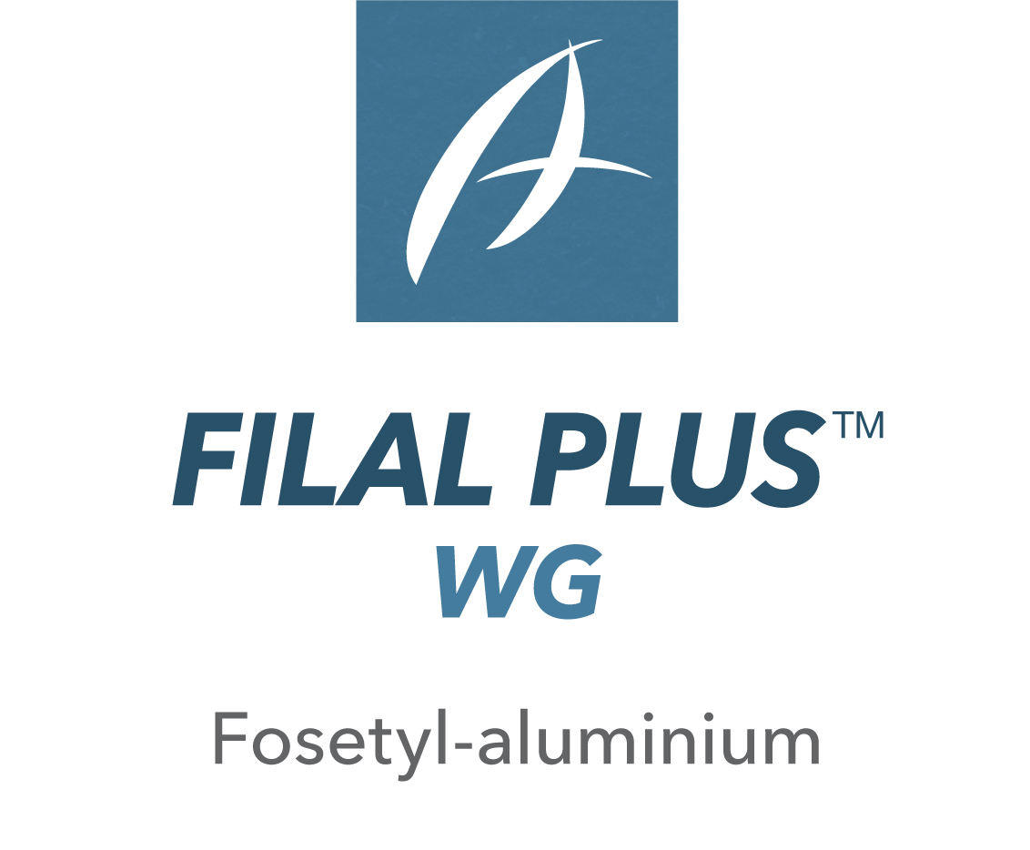 Filal™ Plus WG