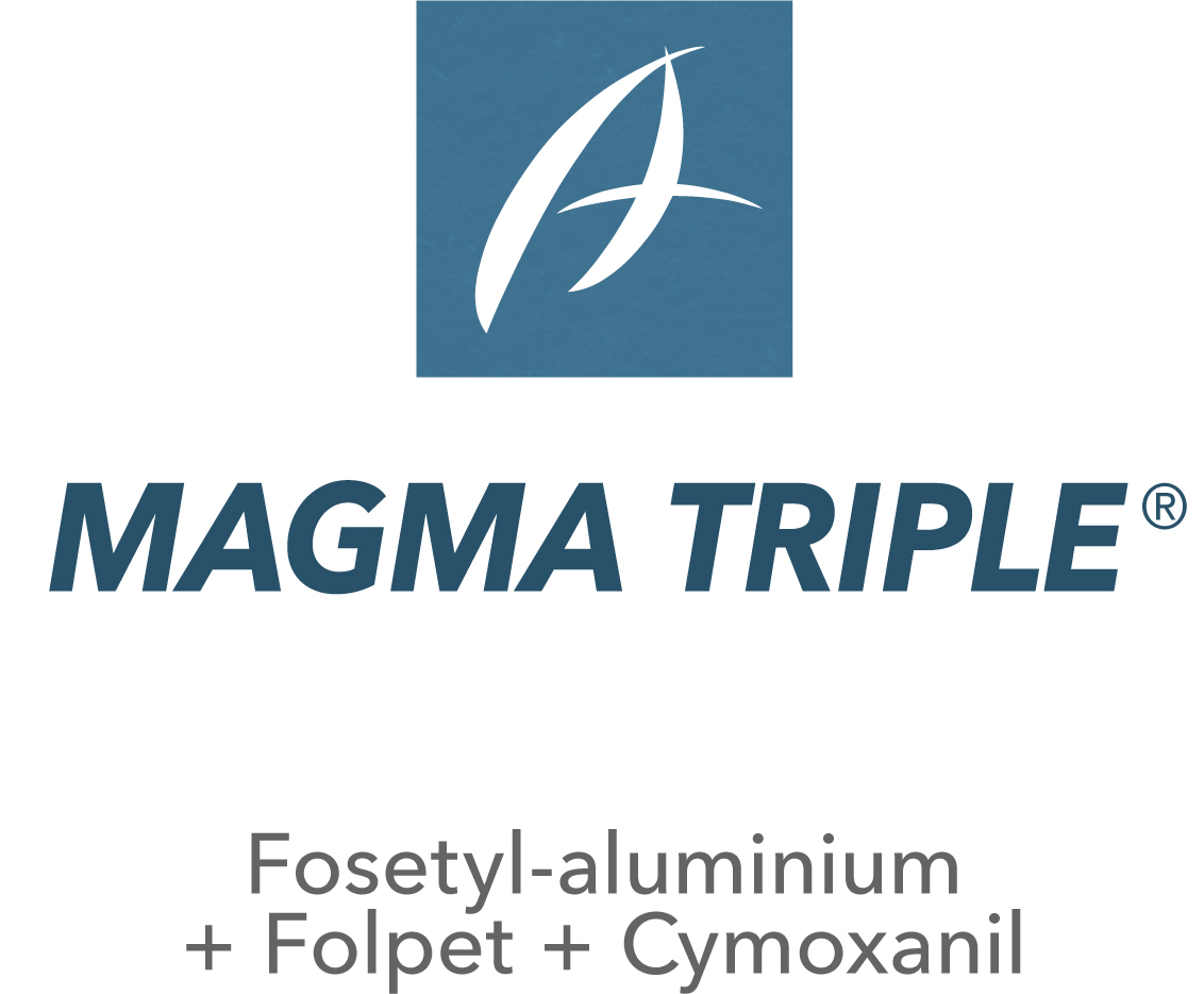 Magma Triple®