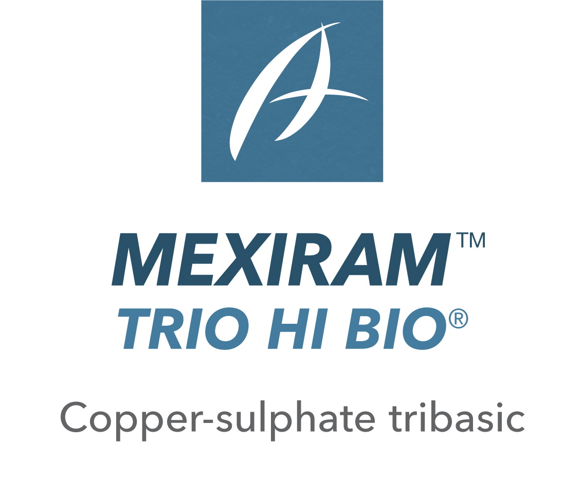 Mexiram™ Trio HiBio®