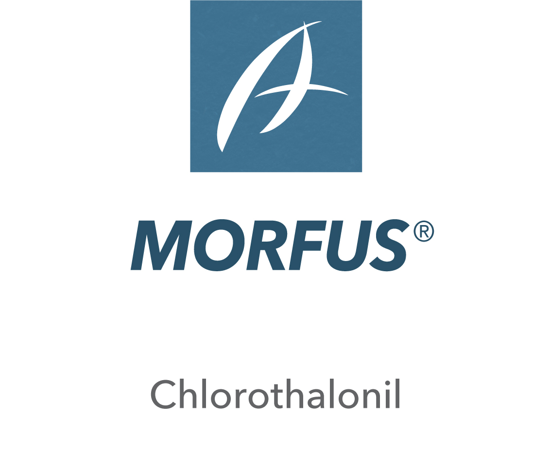 Morfus®