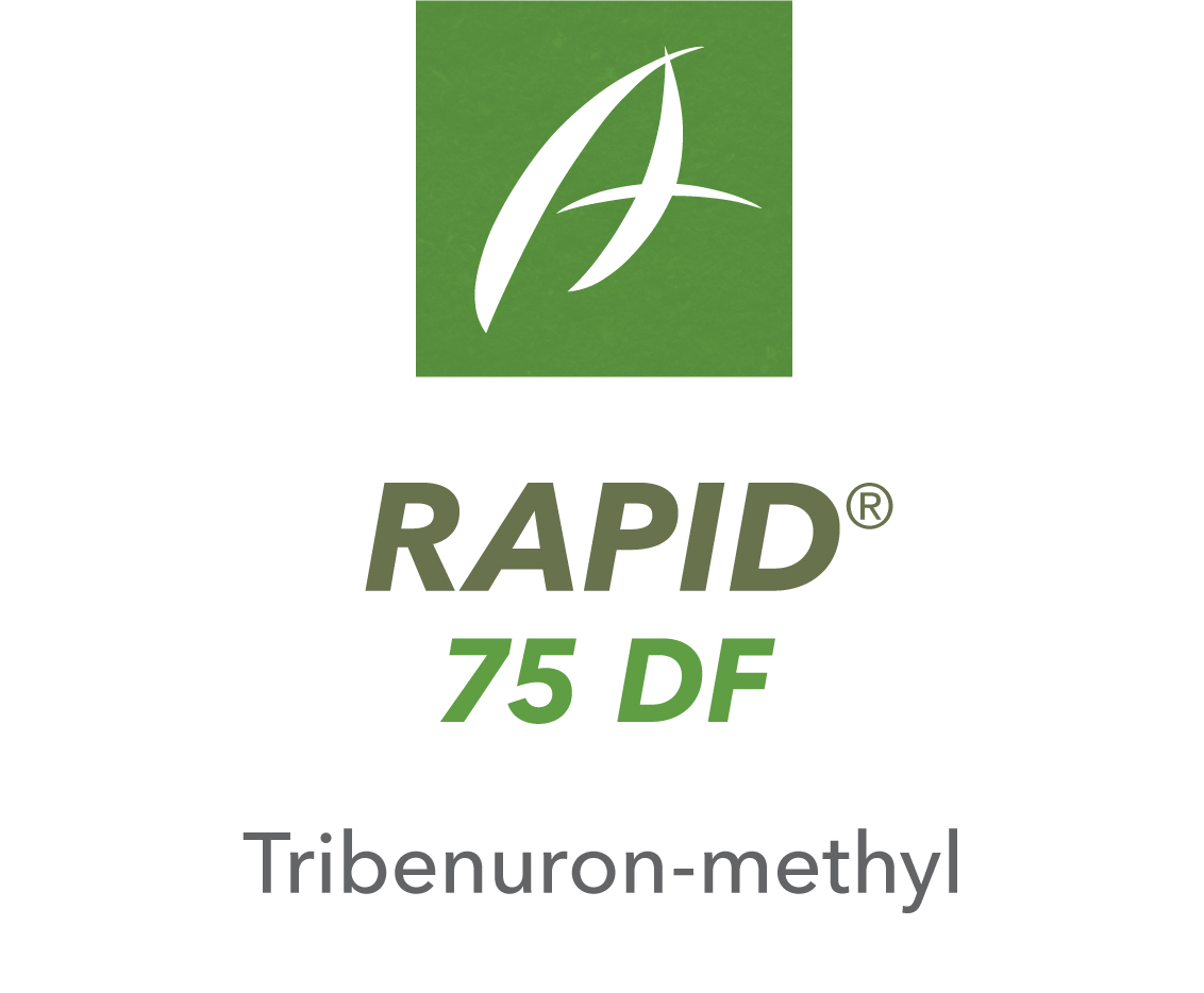 Rapid® 75 DF