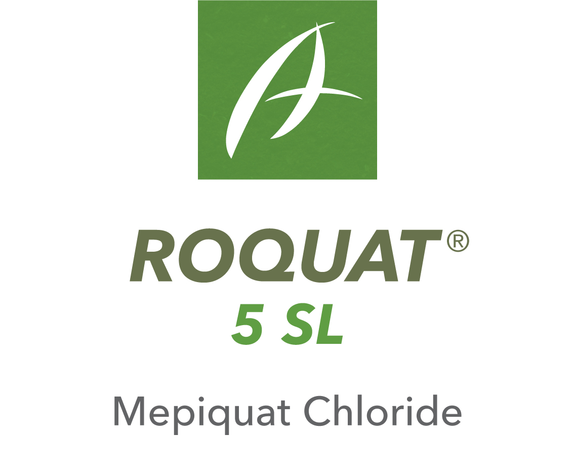 Roquat® 5 SL