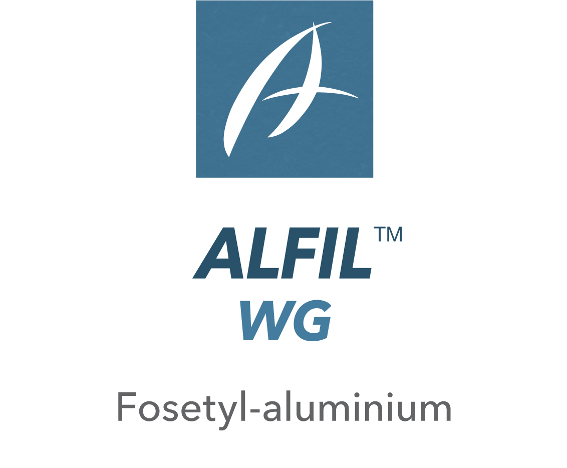 Alfil™ WG