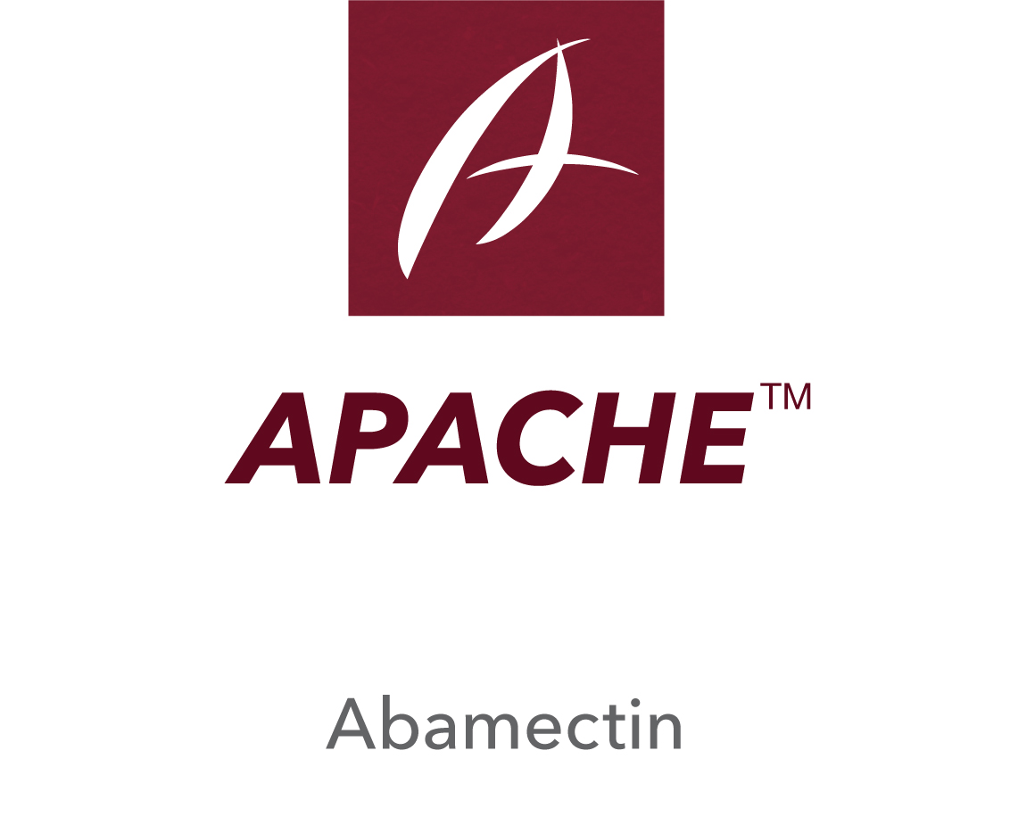 Apache™