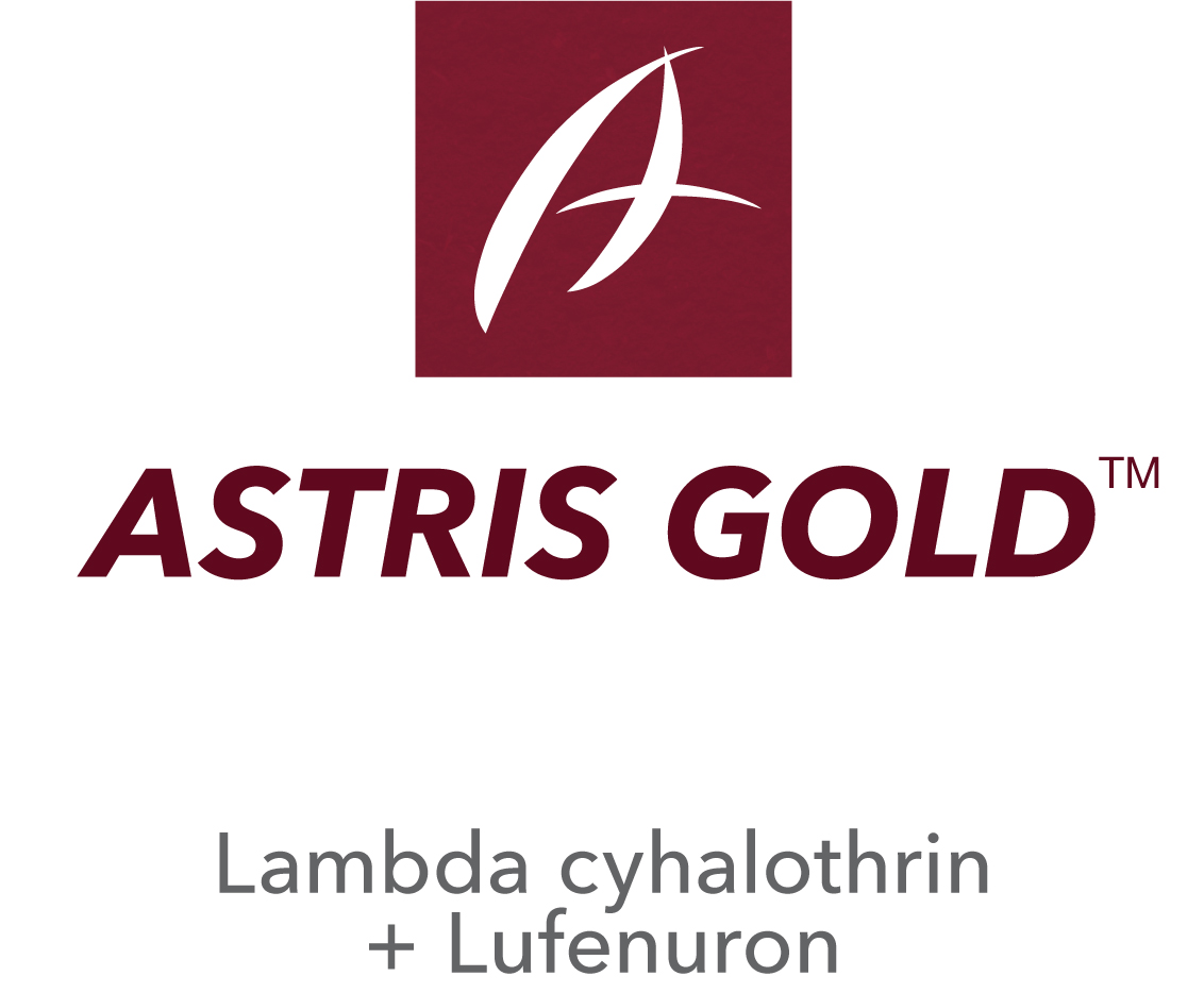 Astris Gold™