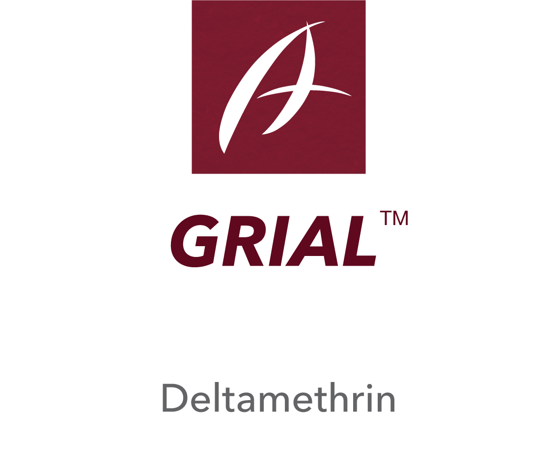 Grial™