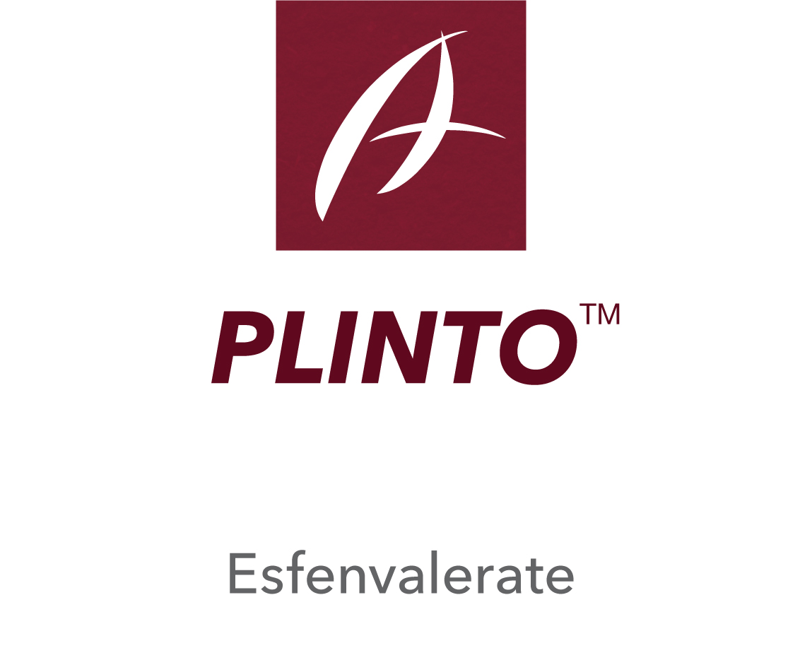 Plinto™