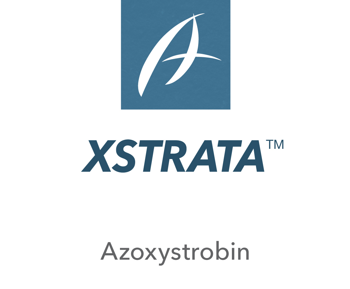 Xtrata™