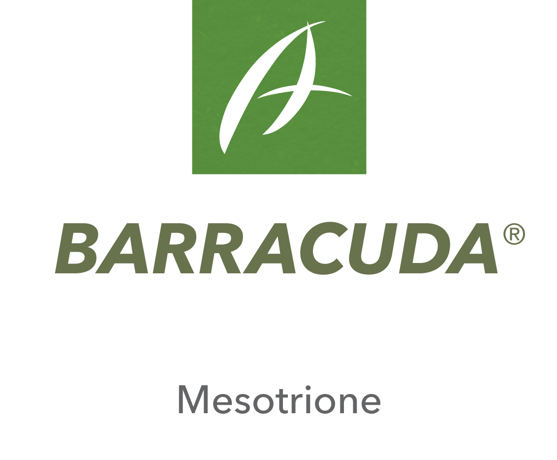 Barracuda®