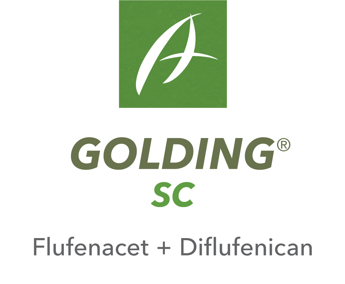 Golding® SC