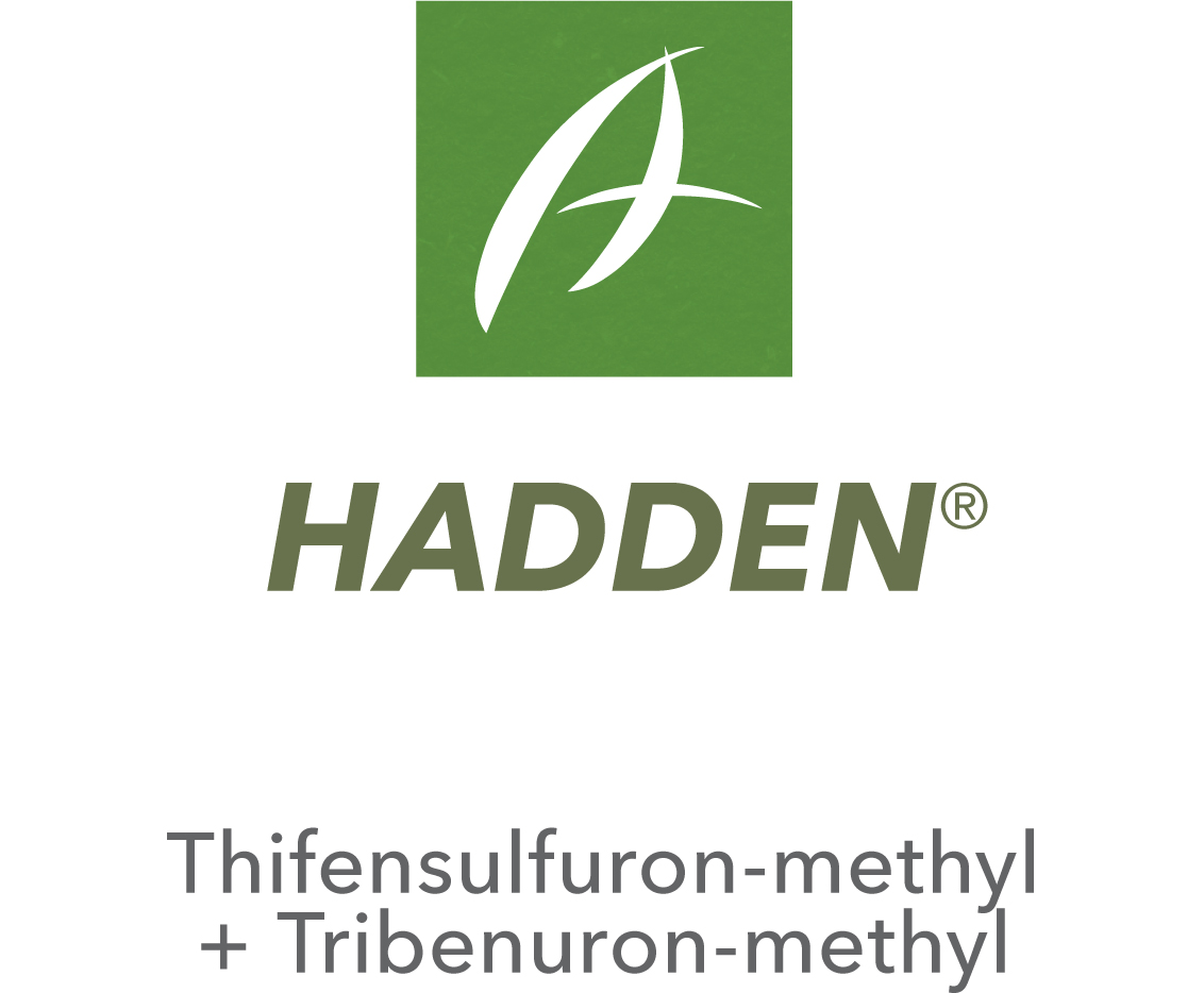 Hadden®