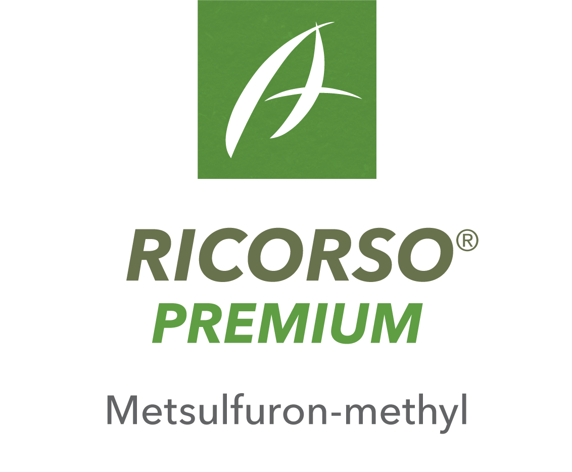 Ricorso® Premium